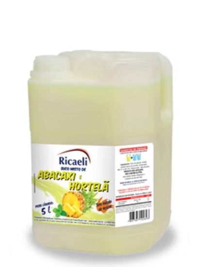 Imagem de SUMO ABACAXI/HORTELÃ 5L RCH