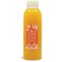 Imagem de SUMO LARANJA 250ML RCH