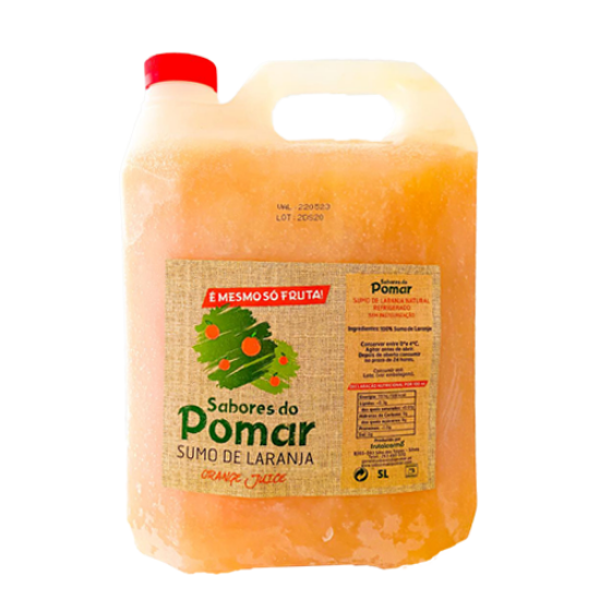 Imagem de SUMO MULTIVITAMÍNICO 5L RCH