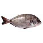 Imagem para a categoria Peixaria