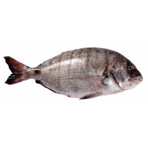 Imagem para a categoria Peixaria