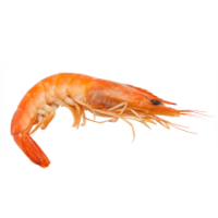 Imagem para a categoria Mariscos