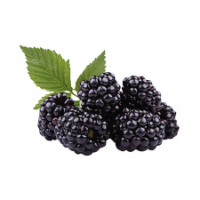 Imagem de Amora Driscoll's cuvete 125 gr