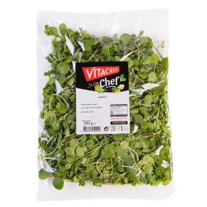 Imagem de AGRIÃO 100G VITACRESS BIO