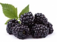 Imagem de Amora 125 G