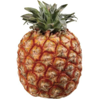 Imagem de Ananás Açores