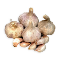 Imagem de ALHOS SECOS AB RCH