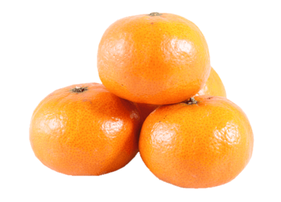 Imagem de CLEMENTINA AB RCH