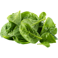 Imagem de ESPINAFRE 150G BIO