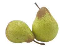 Imagem de PERA AB RCH