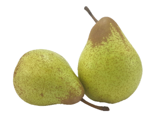 Imagem de PERA AB RCH