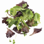 Imagem de SALADA IBÉRICA 100G BIO