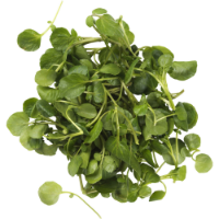 Imagem de AGRIÃO BABY 150 GR VITACRESS