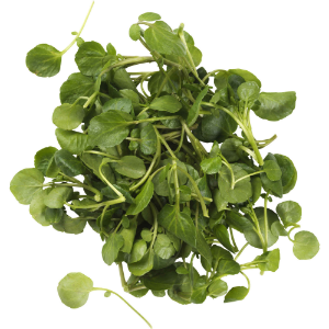 Imagem de AGRIÃO CVT 200G RCH