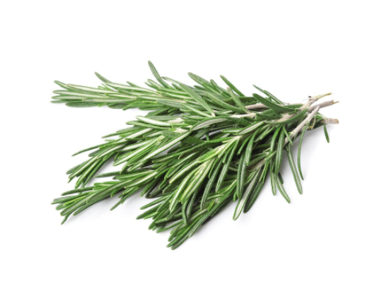 Imagem de ALECRIM SECO 40G CCP