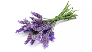 Imagem de ALFAZEMA  50G RCH