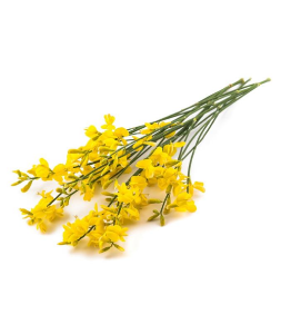 Imagem de CARQUEJA 50G RCH