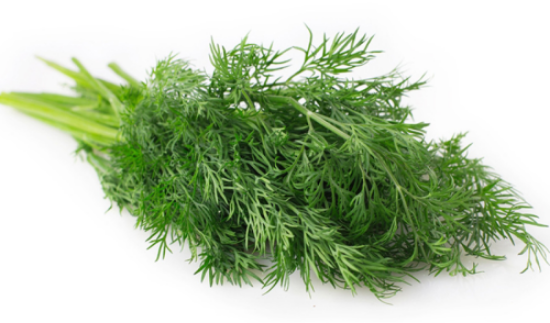 Imagem de CHA FUNCHO PLANTA 50GR RCH