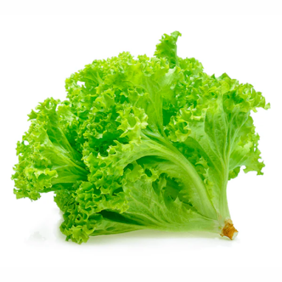 Imagem de ALFACE RIPADA 500G 4G RCH