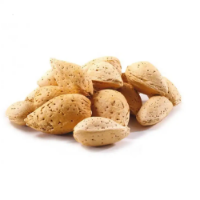 Imagem de AMÊNDOA MOLAR TORRADA C/ CASCA 5 KG RCH