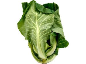 Imagem de Couve Portuguesa