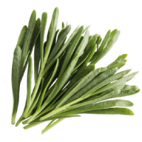 Imagem de CX MISTA RIAFRESCH RCH