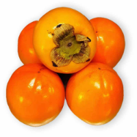 Imagem de Diospiro Gama Económica