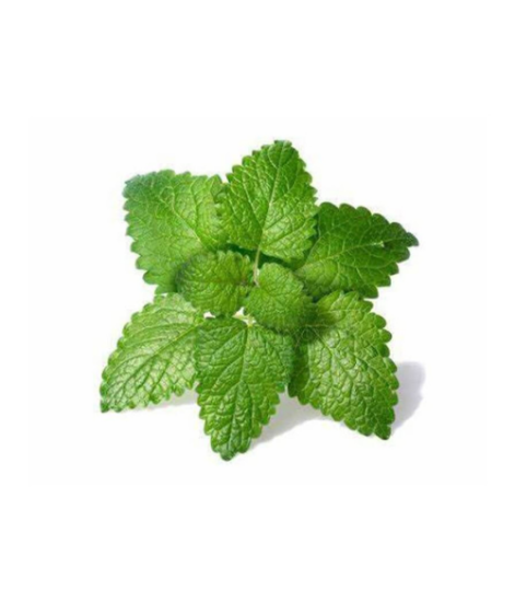 Imagem de ERVA CIDREIRA FRESCA 100G RCH