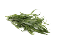 Imagem de ESTRAGÃO VASO CCX