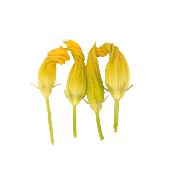 Imagem de FLOR DE COURGETTE (50G) RCH