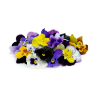 Imagem de FLORES COMESTIVEIS CVT RCH