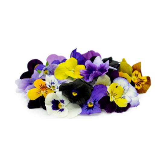 Imagem de FLORES COMESTIVEIS CVT RCH