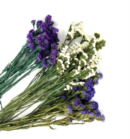 Imagem de FLORETINI ROXO RCH