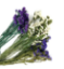 Imagem de FLORETINI ROXO RCH
