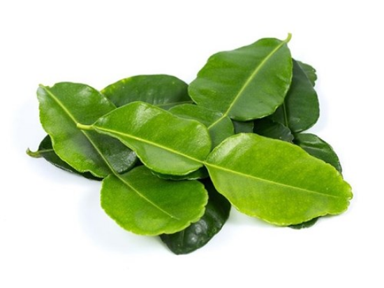 Imagem de FOLHA LIMA KAFFIR RCH