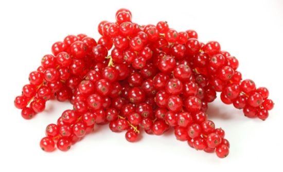 Imagem de GROSELHA 125G RCH