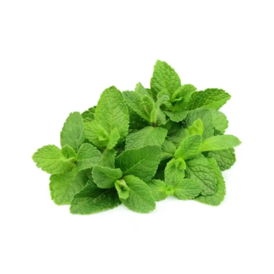 Imagem de HORTELA EMB RCH