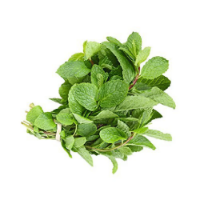 Imagem de HORTELÃ RIBEIRA FRESCA 100G RCH