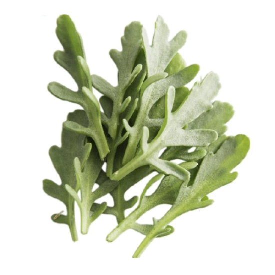 Imagem de INULA 30G RCH