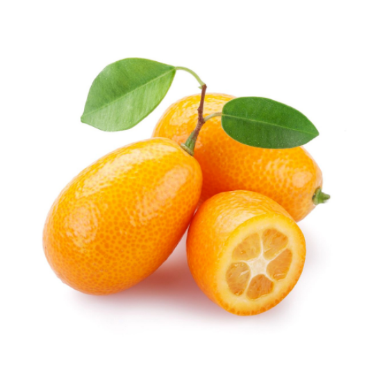 Imagem de KUNQUAT RCH