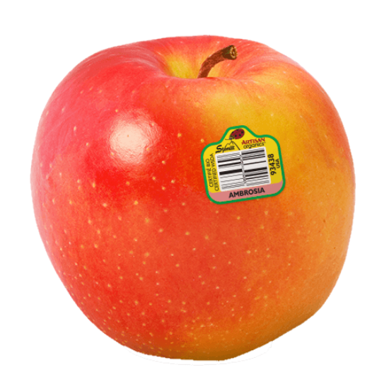 Imagem de MACA PORTA DA LOJA 65/70 2 CAM RCH