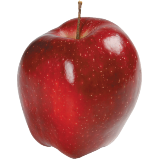 Imagem de MAÇÃ TOP RED CAL. 80/85 BUSHELL RCH