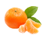 Imagem de MANDARINA TANGERINA ORRI S/SEMENTE RCH