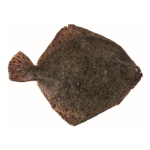 Imagem para a categoria Peixe Fresco — Alto Mar