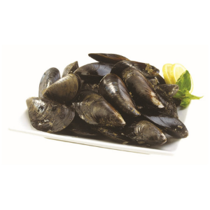 Imagem para a categoria Especialidades