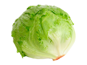 Imagem de Alface Iceberg