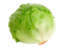 Imagem de Alface Iceberg