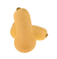 Imagem de Abóbora Manteiga