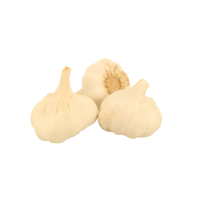 Imagem de Alho Seco Calibre 40/60 Granel 5 Kg