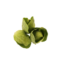 Imagem de Couve Coração de Boi com Folhas